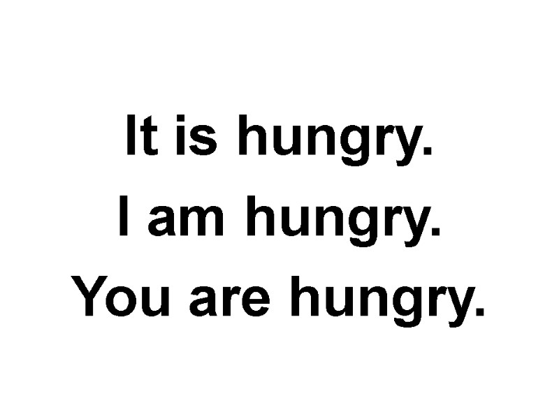 It is hungry. I am hungry. You are hungry.